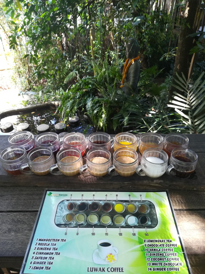 Degustación de Tés y cafes