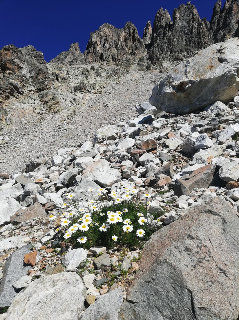 En todo caos hay belleza