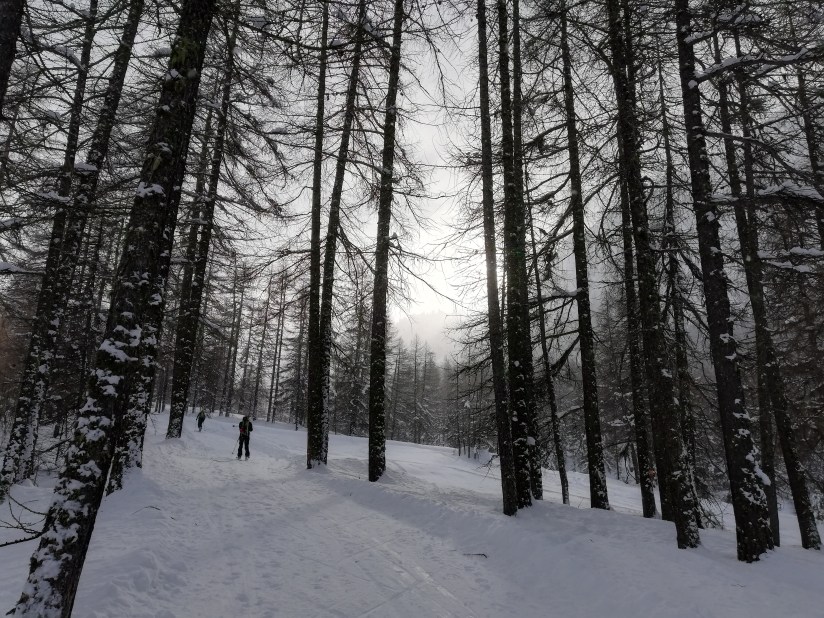 Todo es espectacular